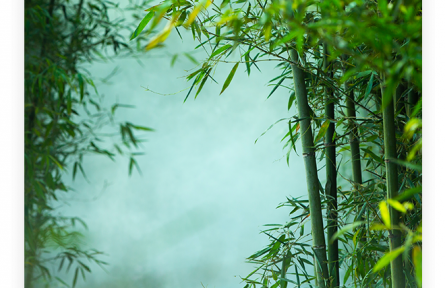 名言 | 孔子：君子坦蕩蕩，小人長戚戚