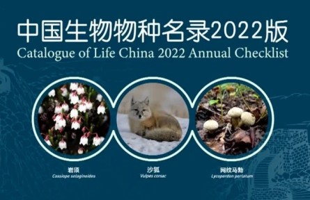 《中國(guó)生物物種名錄》2022版發(fā)布 我國(guó)收錄生物物種及種下單元數(shù)量顯著增加