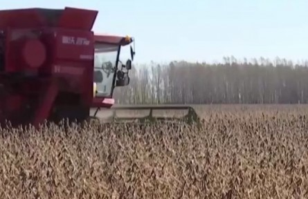 黑龍江海倫：“保險(xiǎn)+期貨”為大豆擴(kuò)種增底氣