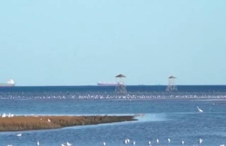 河北：打造“美麗海灣” 渤海近岸海域生態(tài)環(huán)境明顯改善