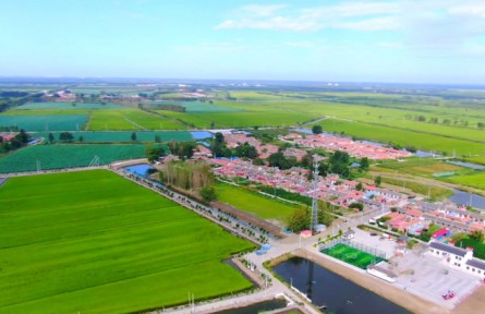 天津以實施鄉(xiāng)村振興戰(zhàn)略為抓手 確保糧食安全