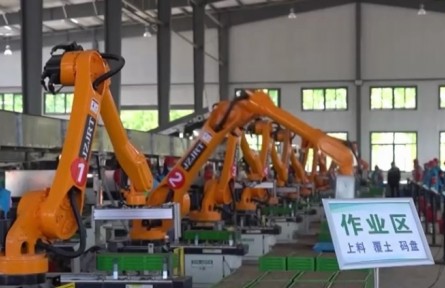 江蘇：啟用自動(dòng)化育秧新基地 讓水稻生產(chǎn)更高效