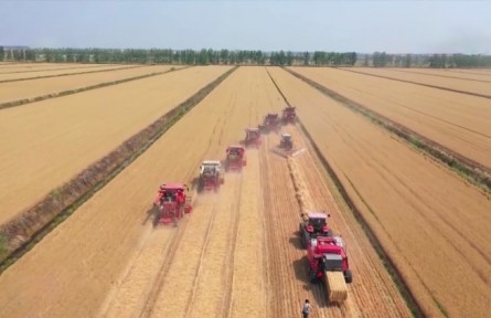 【在希望的田野上·三夏時(shí)節(jié)】我國(guó)夏糧大面積開(kāi)鐮收獲