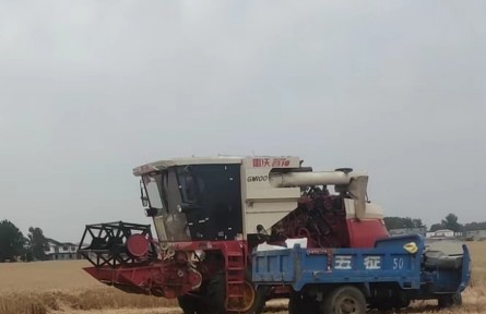 機(jī)手、主播、畫家……“三農(nóng)”變化之農(nóng)民新職業(yè)