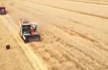 安徽：小麥主產(chǎn)區(qū)完善服務(wù)進度快 顆粒歸倉收獲忙