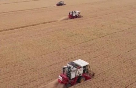 【在希望的田野上·三夏時(shí)節(jié)】我國夏糧主產(chǎn)區(qū)小麥?zhǔn)斋@已過兩成