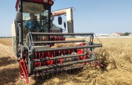 安徽亳州：“三夏”午收一線見聞