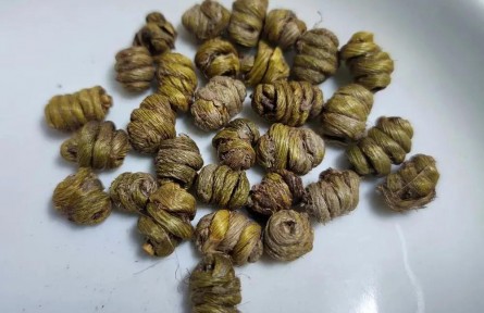 物種故事 | 石斛：生長(zhǎng)于峭壁之上，也無(wú)法逃脫一度被采挖殆盡的命運(yùn)