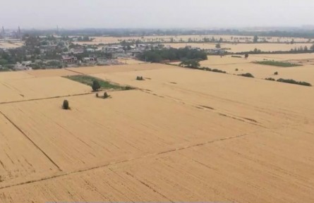 【在希望的田野上·三夏時(shí)節(jié)】我國(guó)夏收過(guò)兩成半 進(jìn)展順利