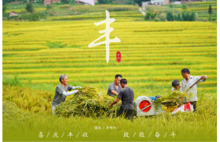 四川宜賓敘州區(qū)：豐收新時代