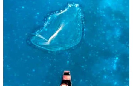 這樣的山水，很中國