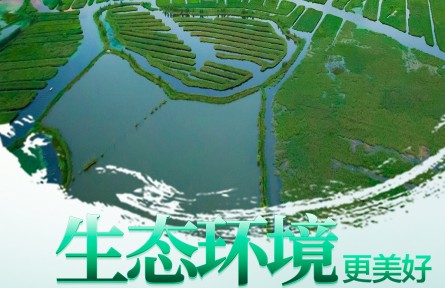 海報：2022年環(huán)境日