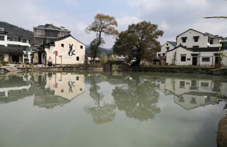 小小桑葚果（茅娜沨）