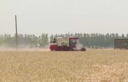 多地開(kāi)辟“綠色通道” 跨區(qū)機(jī)收一路暢通