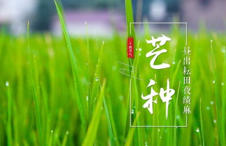 芒種，晝出耘田夜績(jī)麻