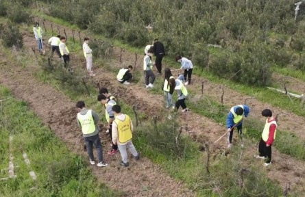 秦嶺腳下，“95后”新農(nóng)人播撒新希望