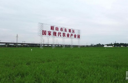 時政新聞眼 | 習(xí)近平再赴四川考察，在眉山重點關(guān)注了什么？