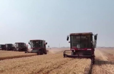 【在希望的田野上·三夏時(shí)節(jié)】我國(guó)小麥?zhǔn)斋@過(guò)七成 夏種陸續(xù)展開