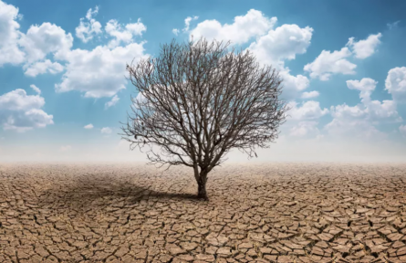 科普 | 自然災(zāi)害頻發(fā)的今天，人類可以做些什么？