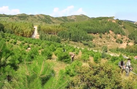 三北防護(hù)林工程有效防護(hù)農(nóng)田超3000萬(wàn)公頃