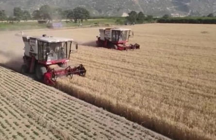 【在希望的田野上·三夏時節(jié)】我國夏糧主產區(qū)麥收進度過九成