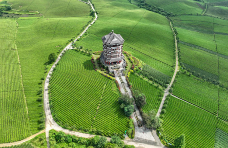 貴州遵義：飛閱“中國茶?！本皡^(qū)