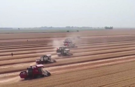 【在希望的田野上·三夏時(shí)節(jié)】我國(guó)已收獲小麥2.89億畝 夏種有序推進(jìn)