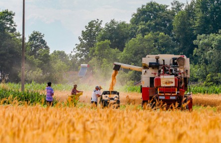 現(xiàn)代種業(yè) 從源頭上保障國家糧食安全
