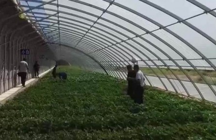 我國全面推進(jìn)鄉(xiāng)村振興實(shí)現(xiàn)良好開局