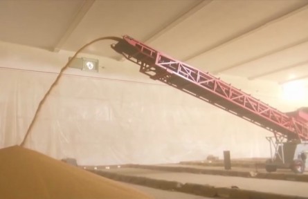 夏糧秋糧怎么分類？各自有哪些品種？