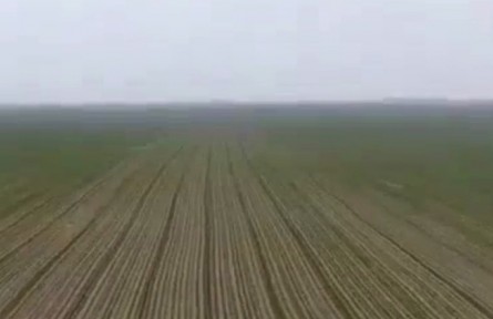 陜西：高標(biāo)準(zhǔn)造良田 保障糧食安全