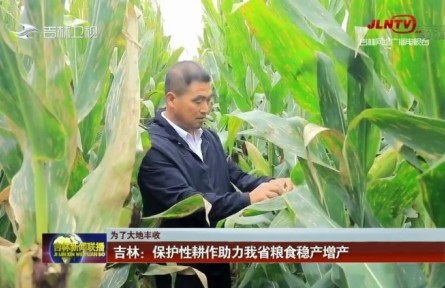 吉林：保護(hù)性耕作助力糧食穩(wěn)產(chǎn)增產(chǎn)