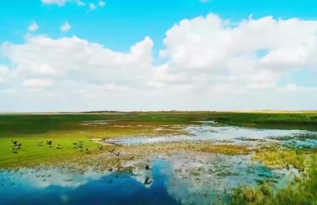 大美邊疆行 | 駿馬揚鬃逐夢去，民富邊興幸福長