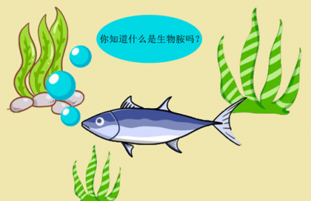 科普 | 生物胺是什么？