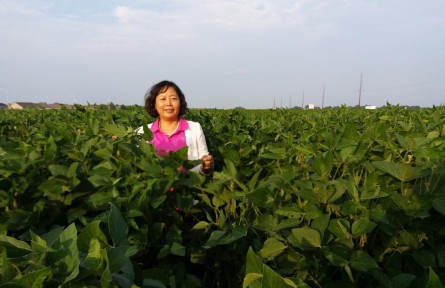 欒曉燕：“豆大”的事兒，她一干就是37年