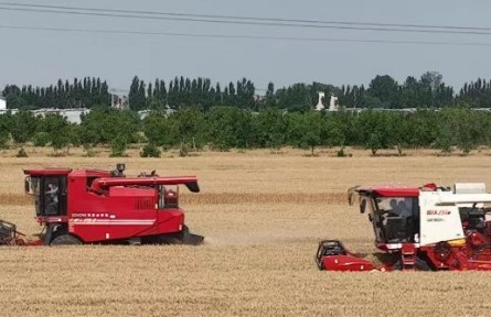 河北省石家莊市欒城區(qū)：種糧大戶的“增收經(jīng)”