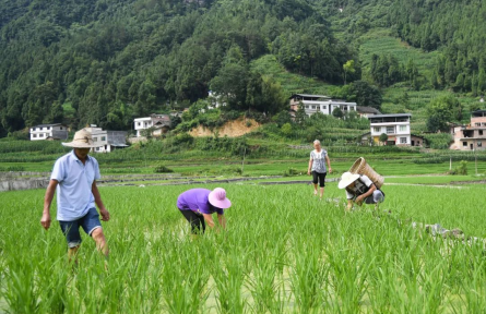 這些一次性補(bǔ)貼、補(bǔ)助！你領(lǐng)到了嗎？