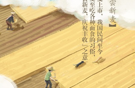 夏至丨喜嘗新麥！你最?lèi)?ài)吃哪款面食？