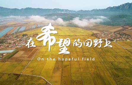 “農(nóng)民院士”朱有勇續(xù)寫鄉(xiāng)村振興新篇章