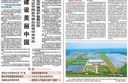 “弱鳥先飛”的寧德實(shí)踐