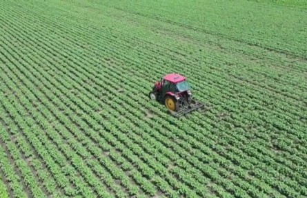 黑龍江綏化：智慧農(nóng)業(yè)引領(lǐng)田間管理 促進(jìn)豐產(chǎn)豐收