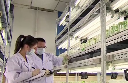 聚焦“農(nóng)業(yè)數(shù)字化技術員”：加大扶持力度 有的放矢培養(yǎng)人才