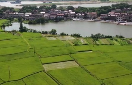 2022年全國夏管有序推進(jìn)