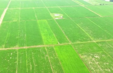 創(chuàng)新管理模式 筑牢糧食增產(chǎn)基礎(chǔ)