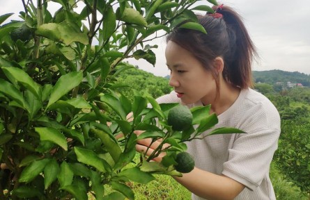 “90后”海歸女碩士肖源：讓新農(nóng)人的夢(mèng)想在荒山開花結(jié)果