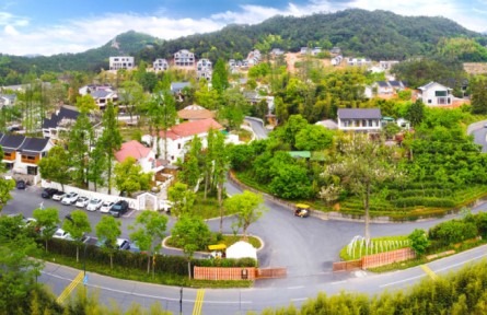 浙江安吉：打開“共享文檔” 合寫共富文章