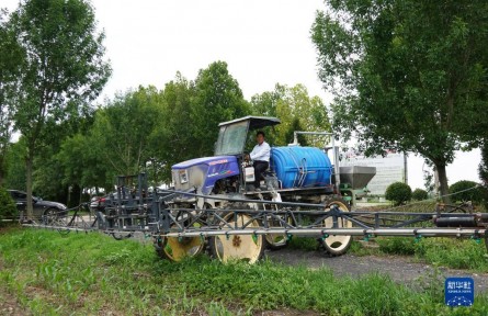 多種糧、種好糧——種糧大戶在行動(dòng)