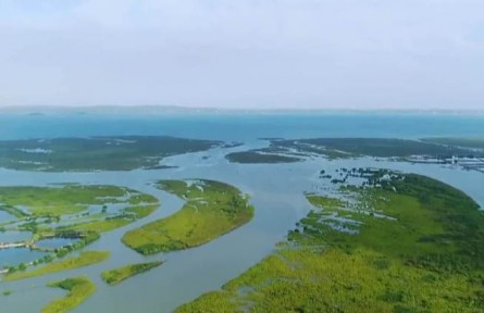 看見錦繡山河|“兩片葉子”鋪就致富路 “芒果自由”帶來(lái)新發(fā)展