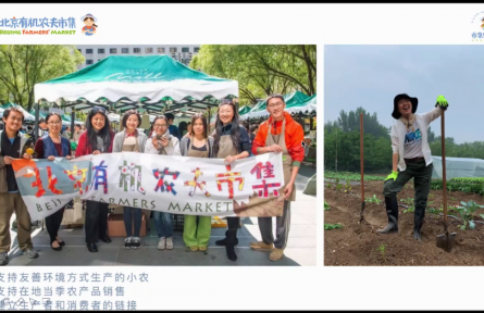 北京豐臺青年助力鄉(xiāng)村振興，從了解一場農(nóng)夫市集開始
