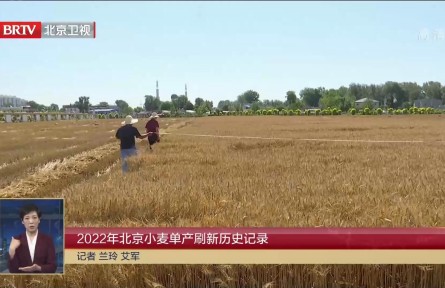 2022年北京小麥單產(chǎn)刷新歷史記錄